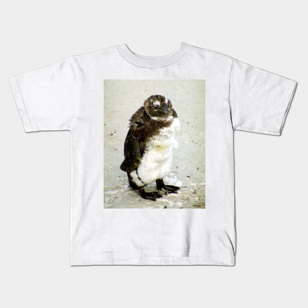 Baby South African Penguin Moulting Kids T-Shirt by Carole-Anne